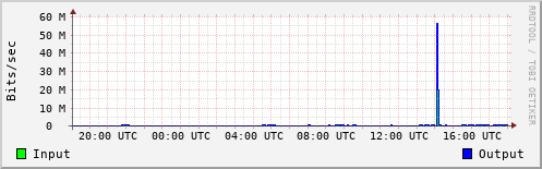 Network Activity