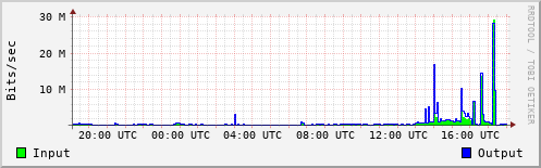 Network Activity