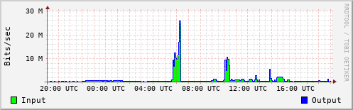 Network Activity
