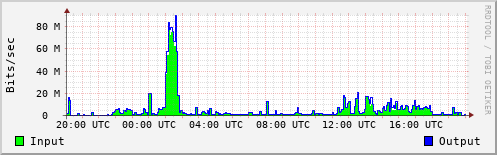 Network Activity