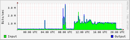 Network Activity