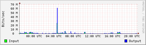 Network Activity