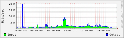 Network Activity
