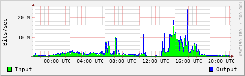 Network Activity