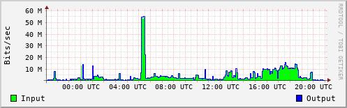 Network Activity