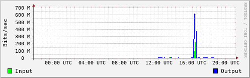 Network Activity