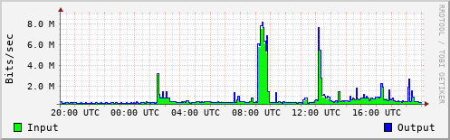 Network Activity