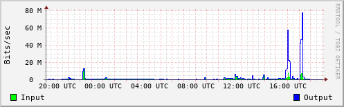 Network Activity