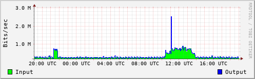Network Activity