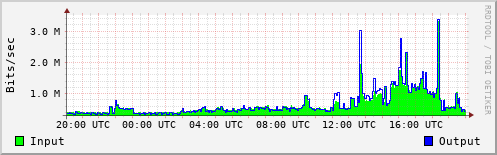 Network Activity