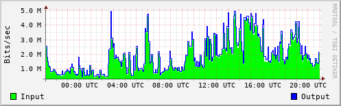 Network Activity