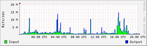 Network Activity