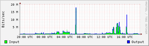 Network Activity