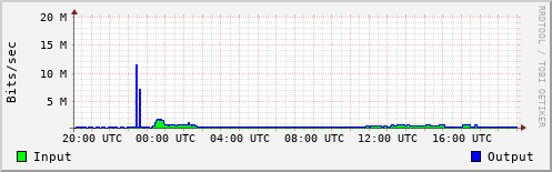 Network Activity
