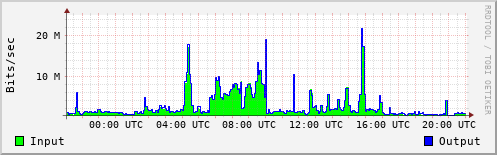 Network Activity