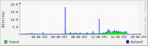 Network Activity