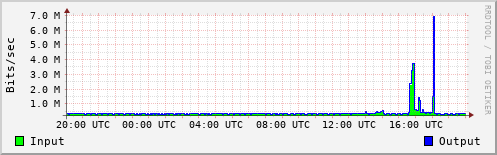 Network Activity
