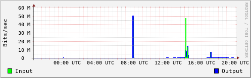 Network Activity