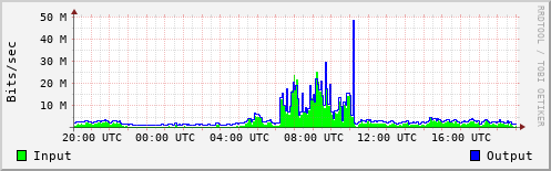 Network Activity