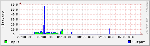 Network Activity