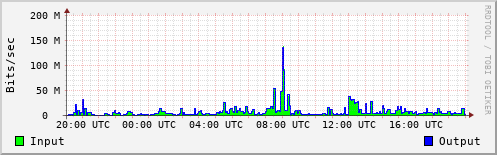 Network Activity