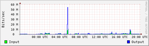 Network Activity