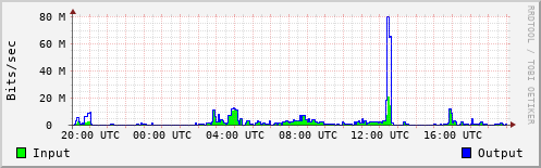 Network Activity