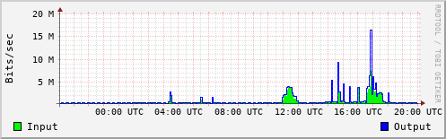 Network Activity
