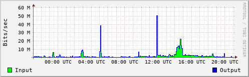 Network Activity
