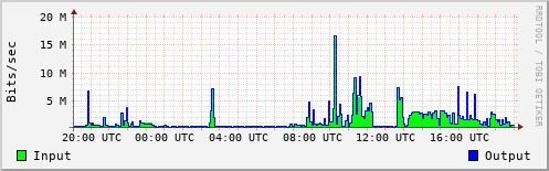 Network Activity
