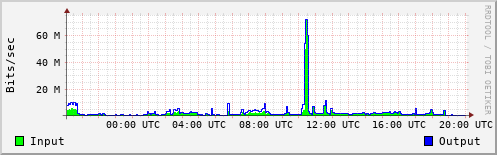 Network Activity