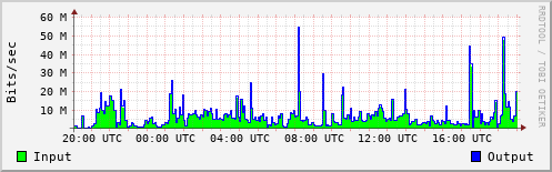 Network Activity