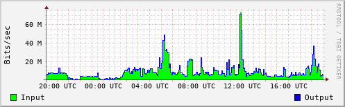 Network Activity