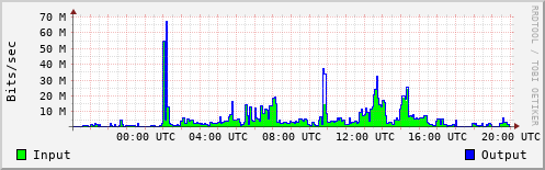 Network Activity