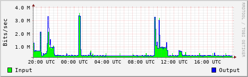Network Activity