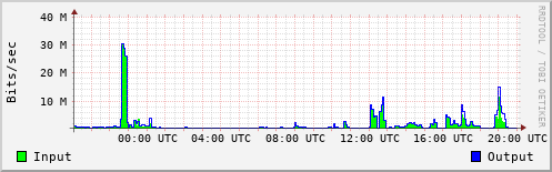 Network Activity
