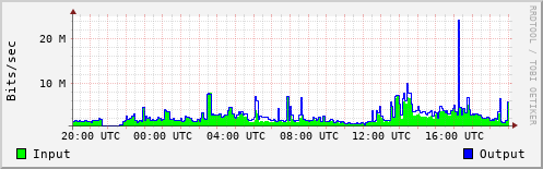 Network Activity