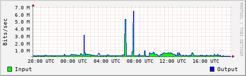 Network Activity