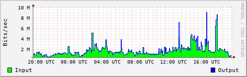Network Activity