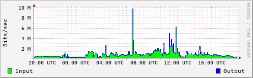 Network Activity
