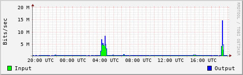 Network Activity