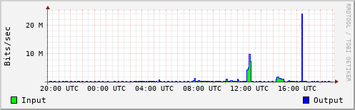Network Activity
