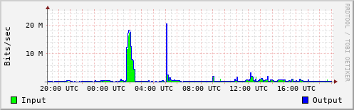 Network Activity