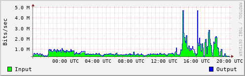 Network Activity