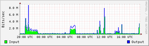 Network Activity