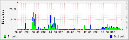 Network Activity