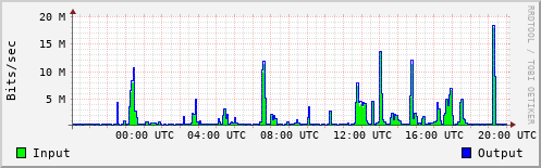 Network Activity