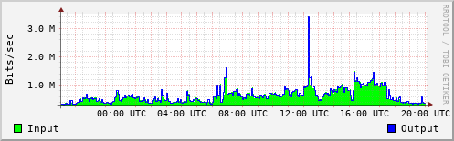 Network Activity
