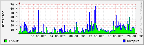 Network Activity