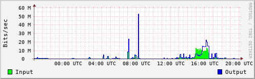 Network Activity